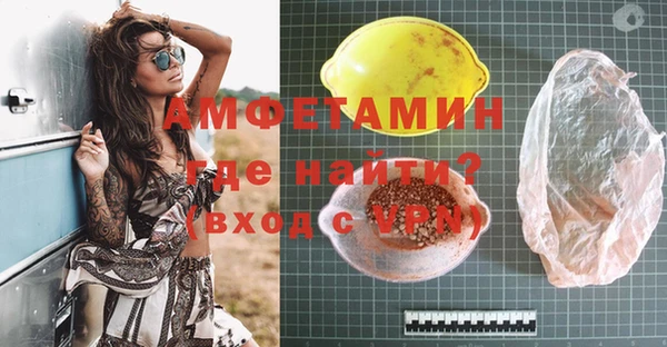 индика Нея