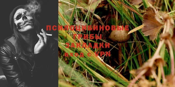 герыч Новодвинск