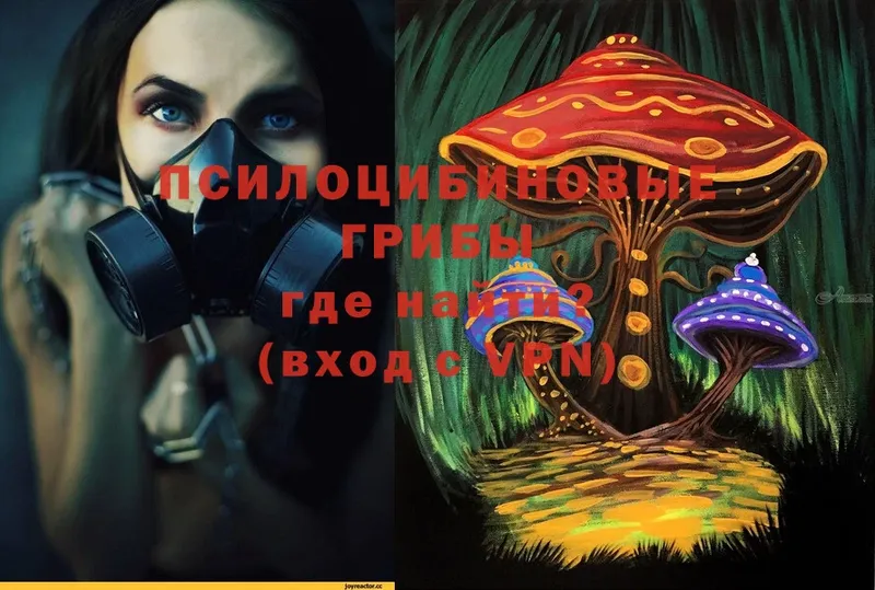 Галлюциногенные грибы Magic Shrooms  blacksprut ССЫЛКА  Болхов 